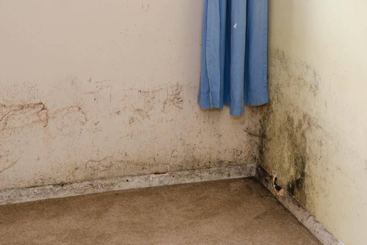How to spot the effect of mould on children’s health and who is most affected