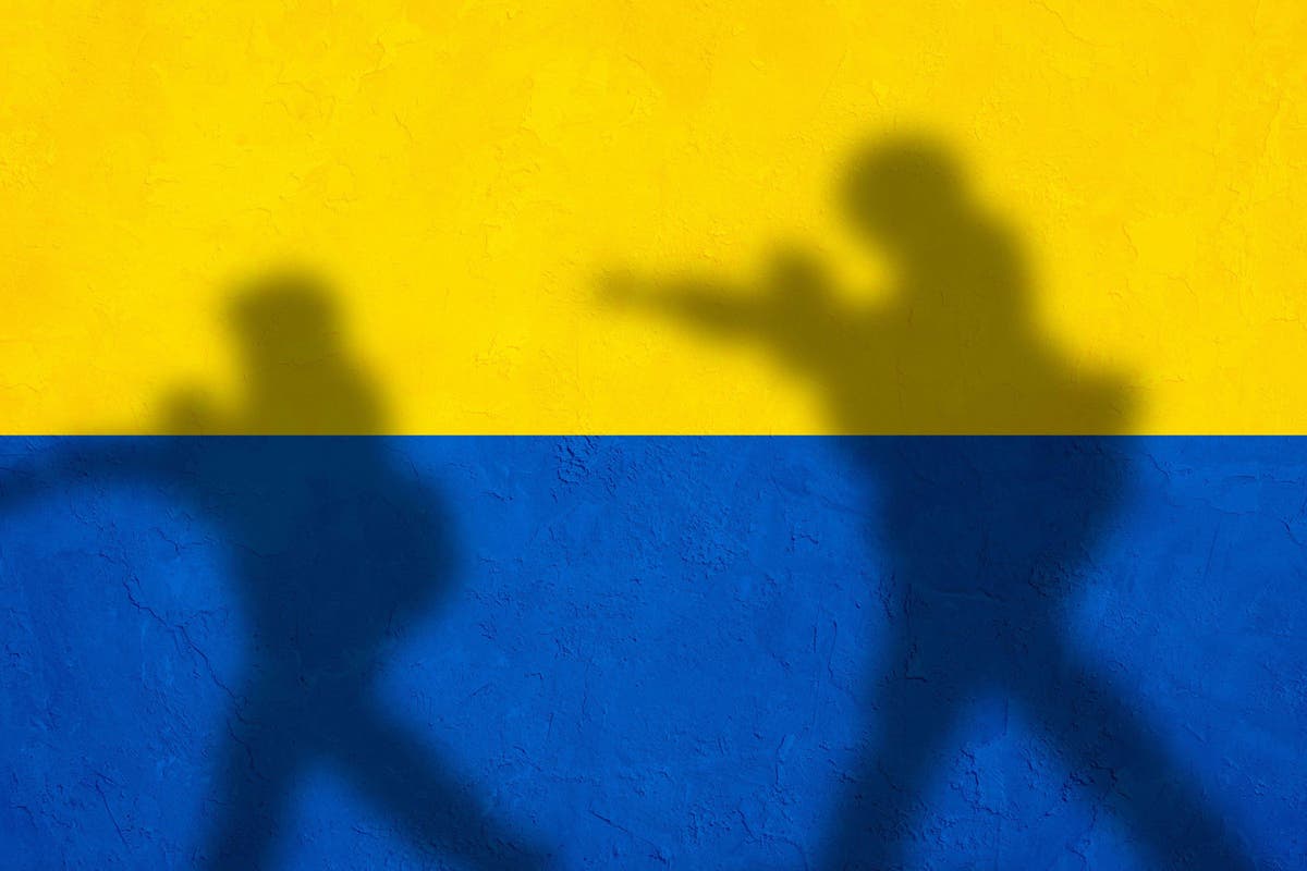 British soldier, 24, died after saving lives in Ukraine British soldier, 24, died after saving lives in Ukraine