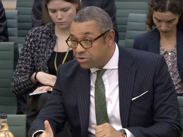 <p>James Cleverly accused of ‘giving airtime to Egyptian talking points’ in front of the Commons foreign affairs committee</p>
