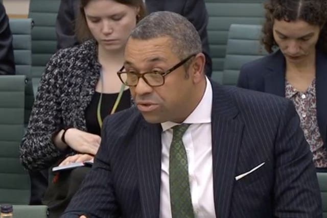 <p>James Cleverly accused of ‘giving airtime to Egyptian talking points’ in front of the Commons foreign affairs committee</p>
