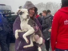 Wisconsin plane crash – live: Dramatic rescue mission underway as plane carrying 3 people and 53 dogs crashes