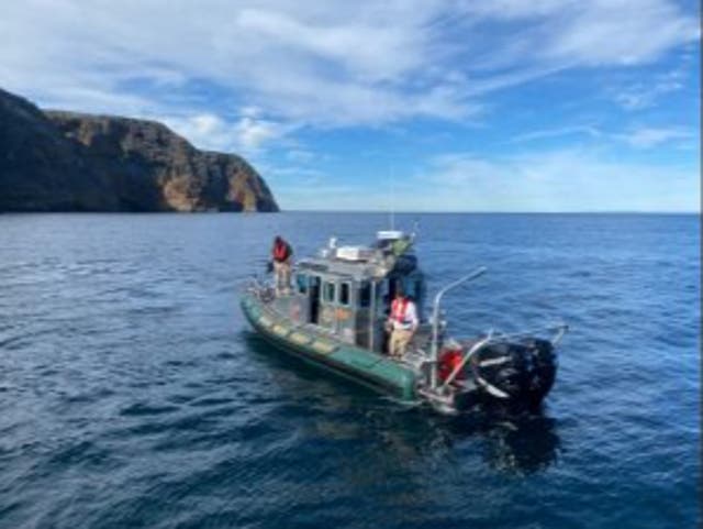 <p>Search and rescue officials search the seas off the Channel Islands</p>