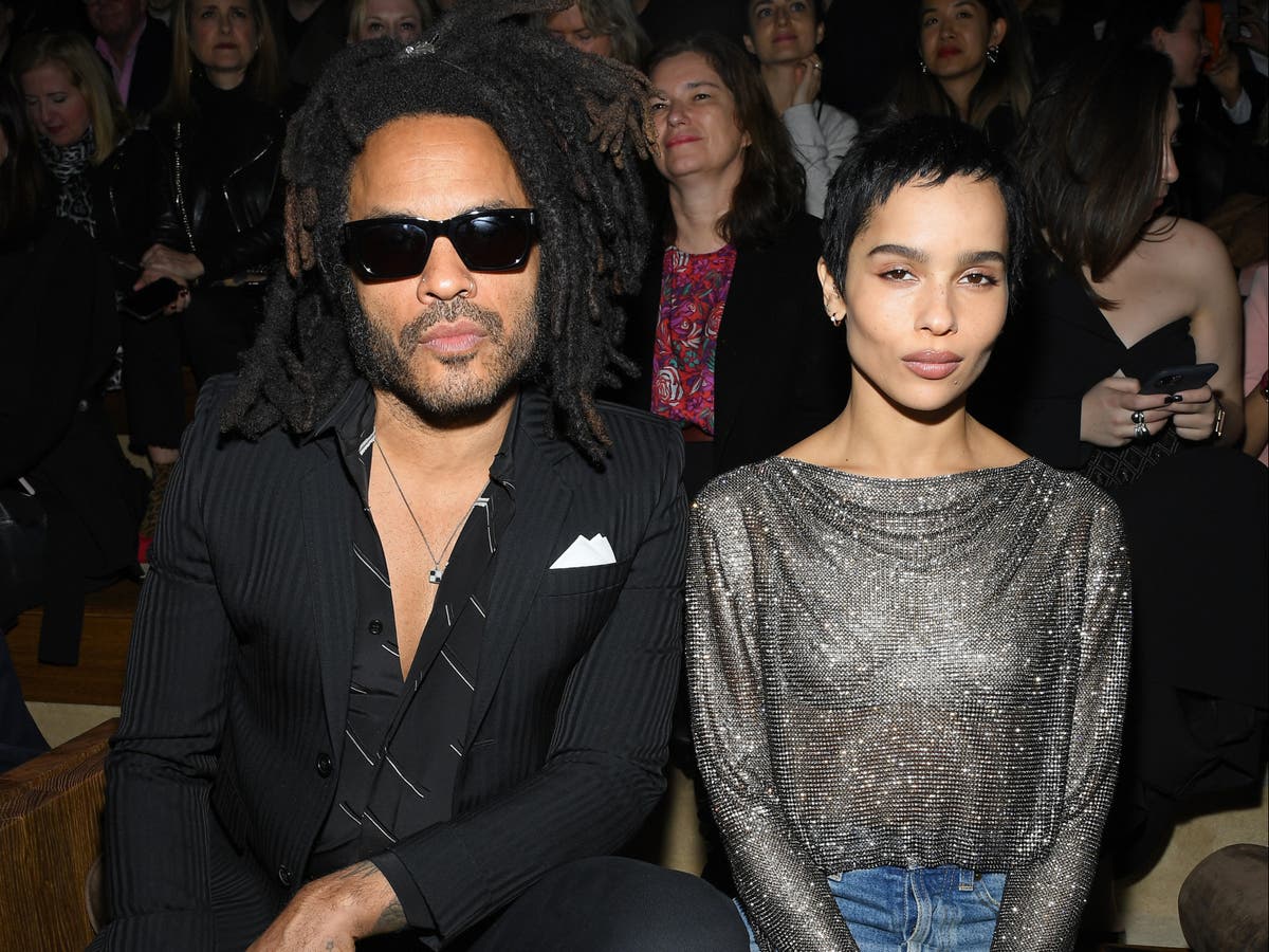 Zoë Kravitz says ‘nepo babies’ are simply working in ‘the family business’