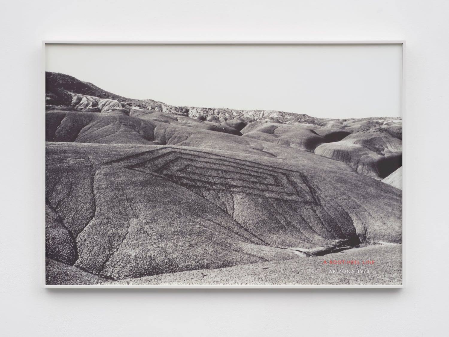 Long: ‘[My artwork is] about beauty of ideas and beauty of places, about the beauty of the planet’