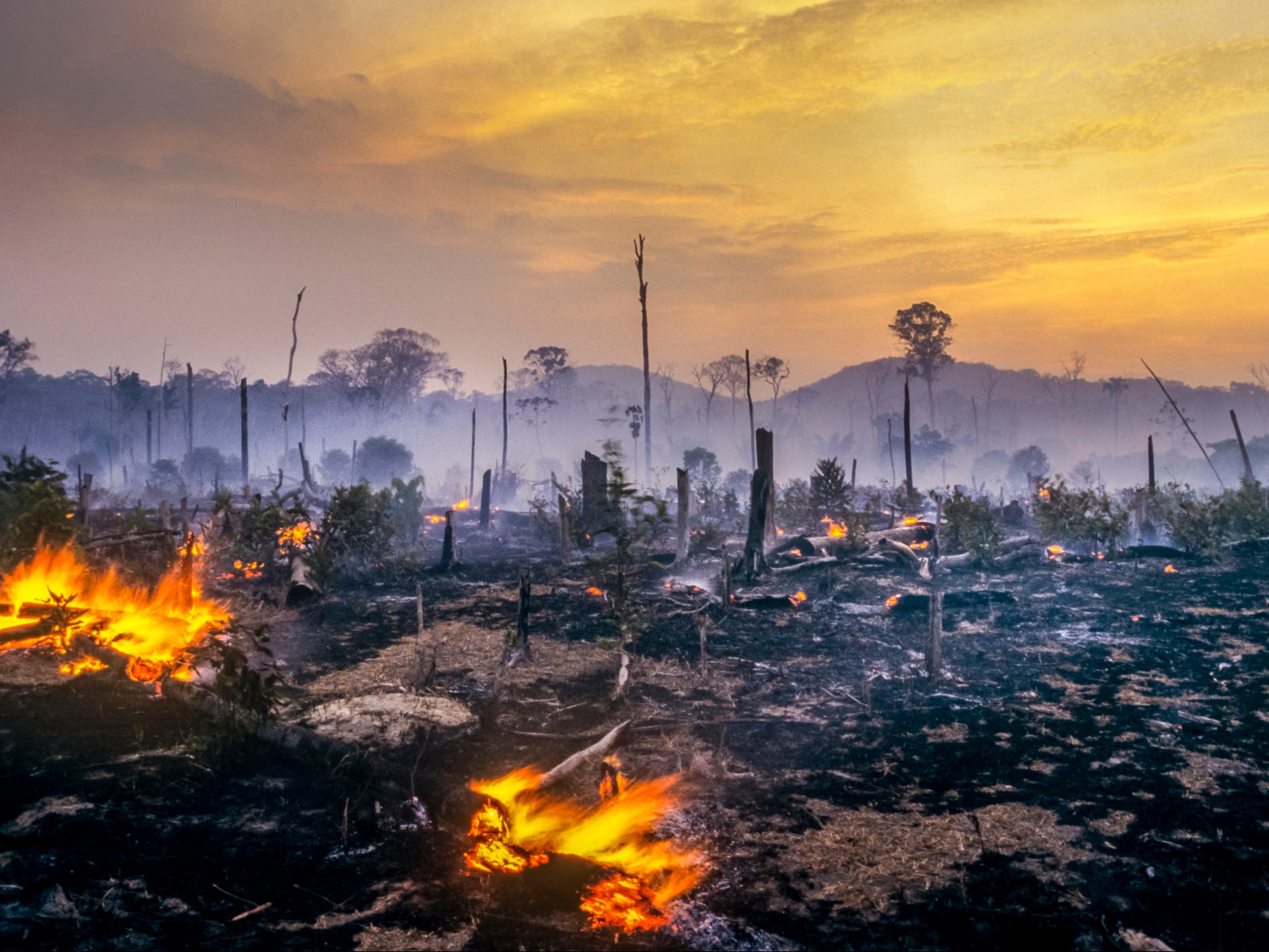 Humanity is ‘pushing the world’s largest rainforest alarmingly close to a precipice'