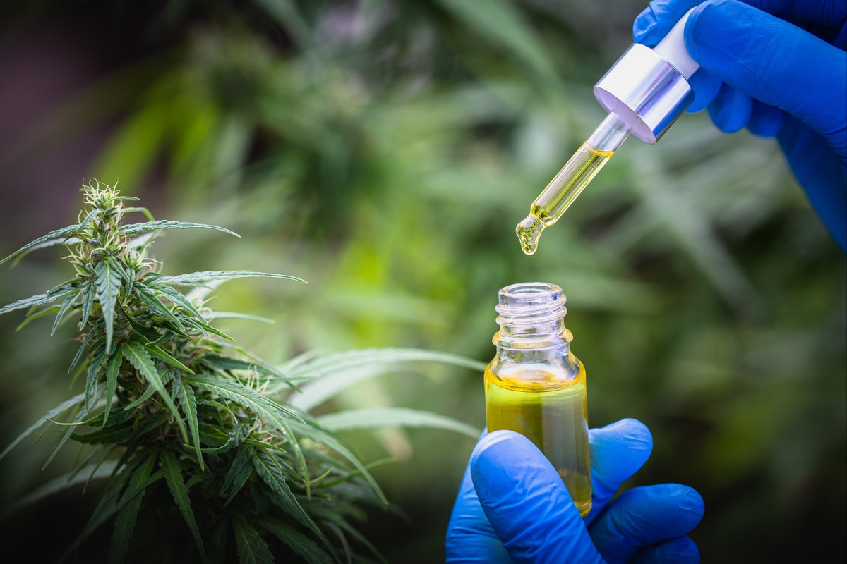 Nine out of 10 elderly dementia sufferers become less agitated after marijuana treatment, study finds