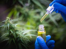 Cannabis not made safer by increasing CBD content, study finds