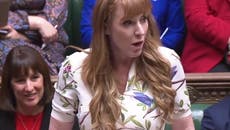 Dominic Raab requested investigation into own behaviour as Sunak ‘too weak to get a grip’, Angela Rayner says