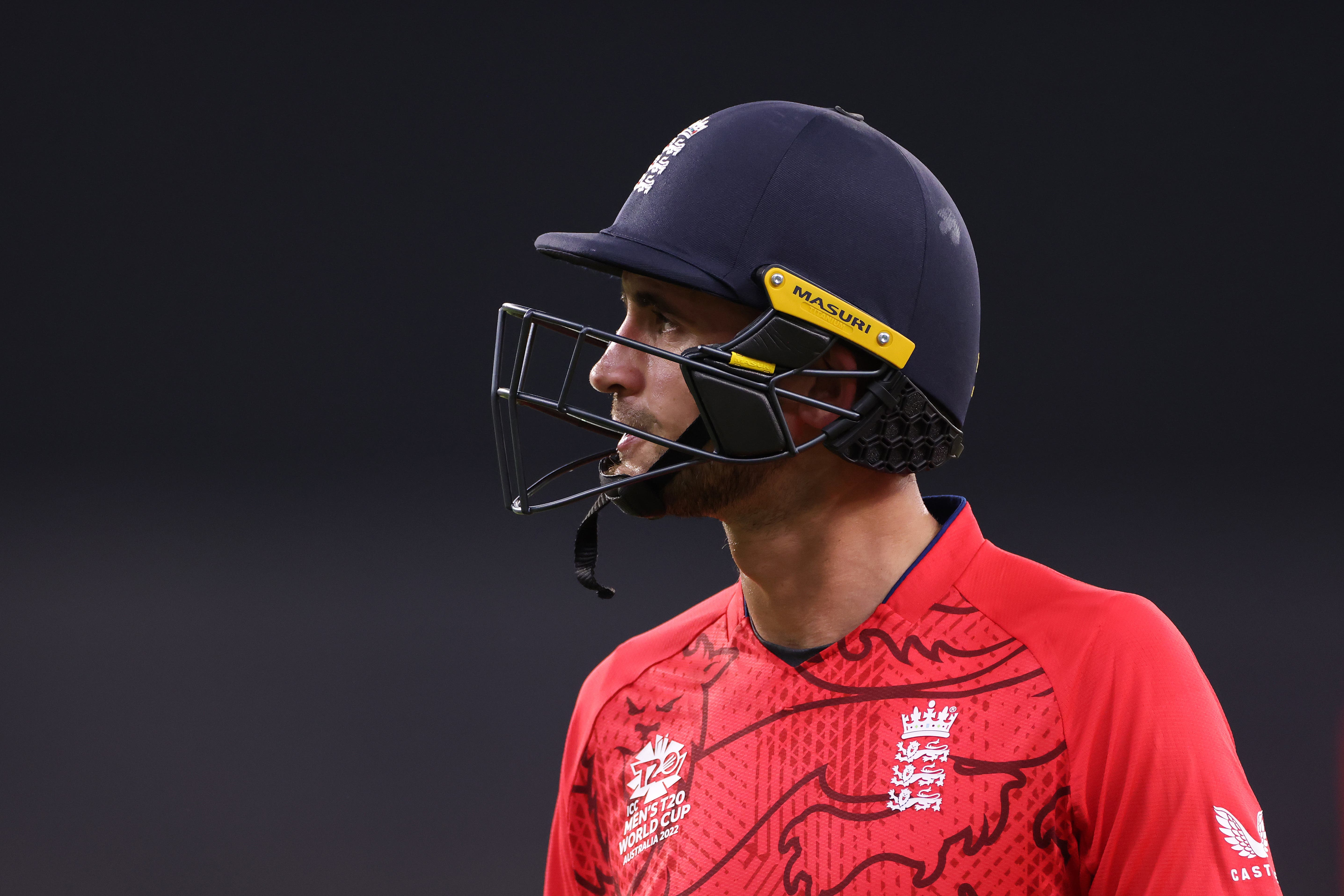 England T20 Star Alex Hales Reprimanded Over Historic ‘blackface Photo The Independent