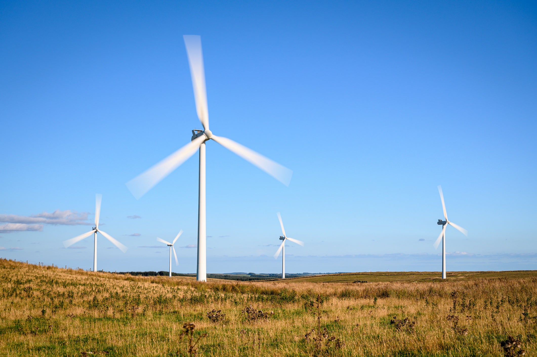 Polling shows that 77 per cent of people say they would support a new onshore wind farm being built in their area