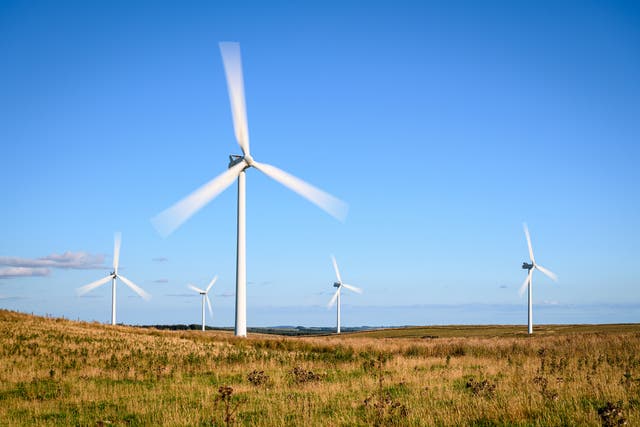 <p>Polling shows that 77 per cent of people say they would support a new onshore wind farm being built in their area</p>