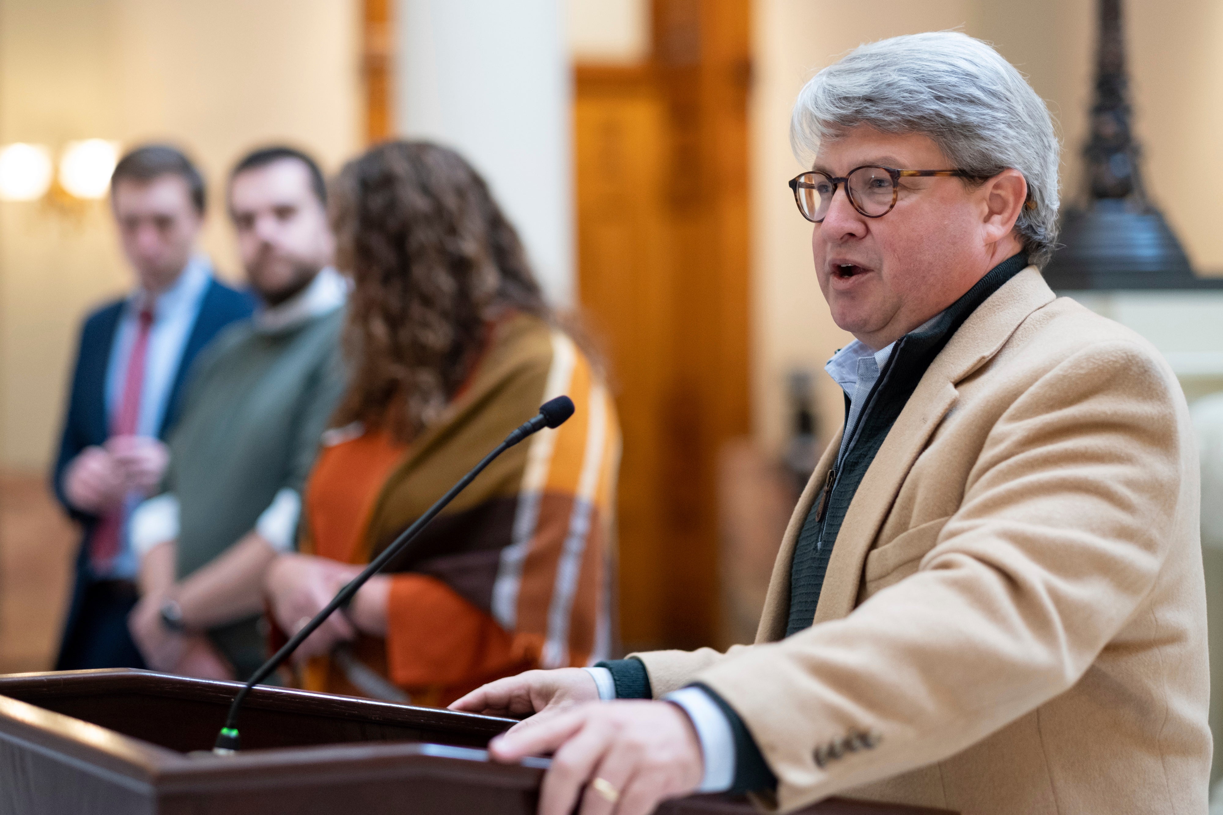 Elections Georgia Audit