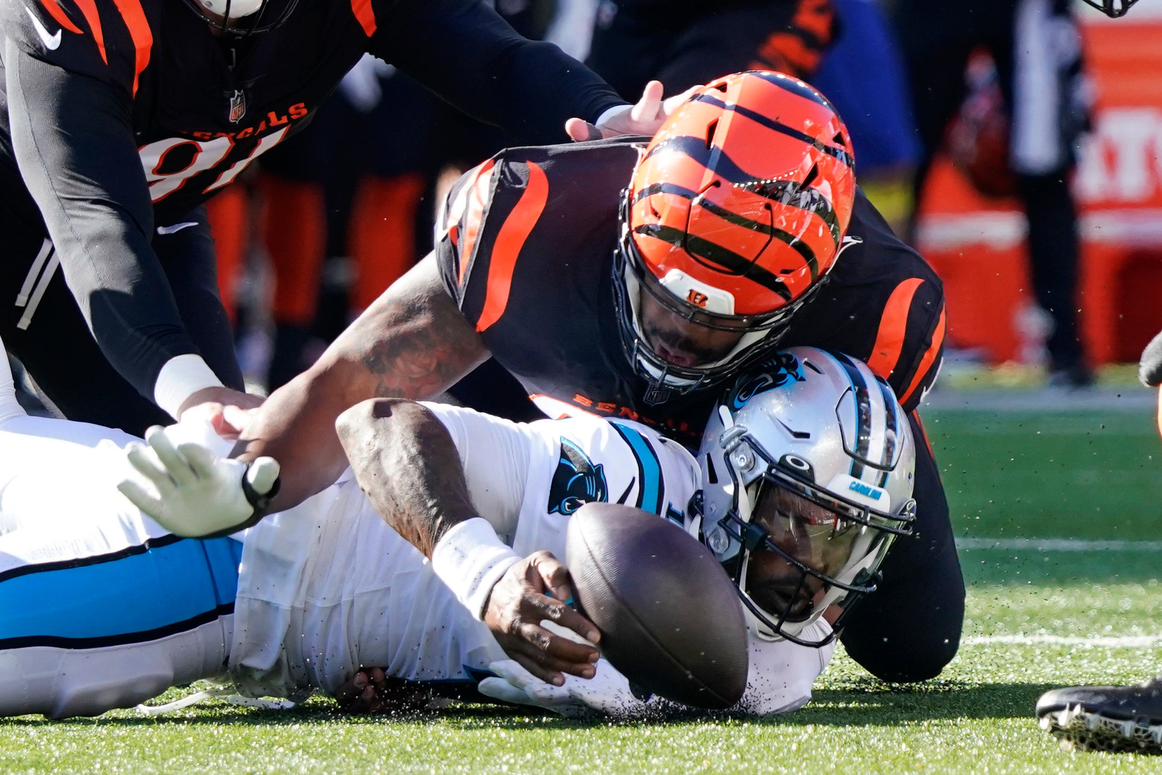 Panthers Bengals Football