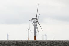 Wind farms to pay higher windfall tax than oil rigs, Chancellor reveals