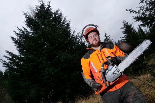 Phil Suckling, Forestry England harvesting supervisor, with the tree selected from millions at Kielder Forest, Northumberland, to stand at the foot of Big Ben (Forestry England/PA)