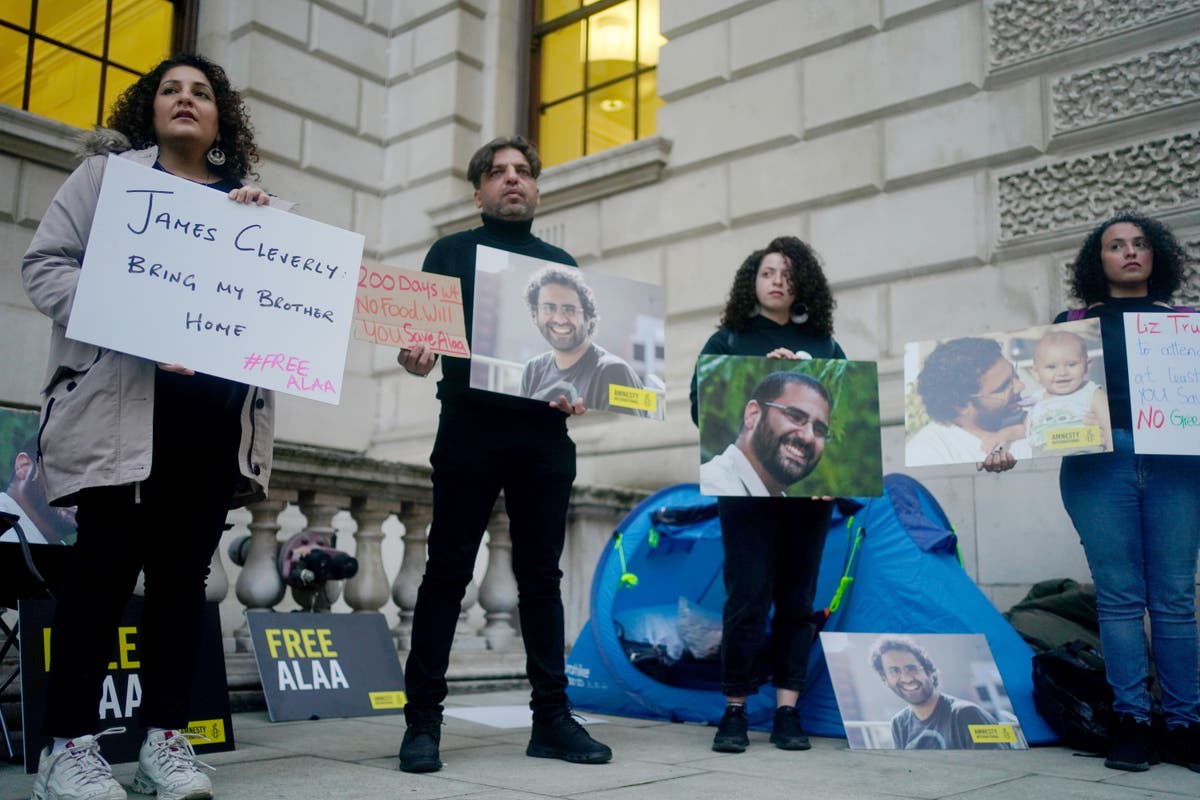 British-Egyptian activist has &lsquo;deteriorated severely&rsquo; in Cairo prison