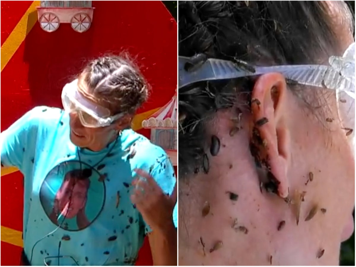 ‘It’s now in my brain’: I’m a Celeb’s Jill Scott seen by medic after cockroach lodges itself in her ear