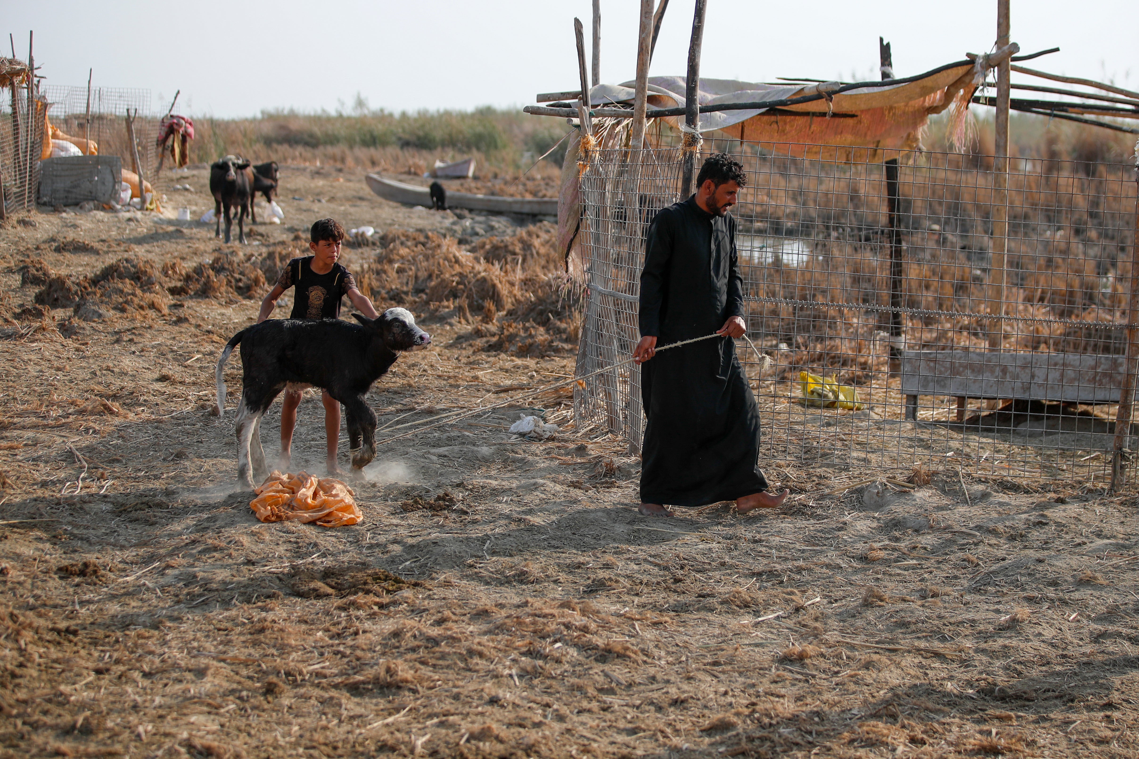 COP27 Rivers in Peril