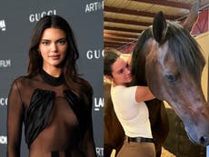 Kendall Jenner’s horse is having a baby via surrogate: ‘What does this mean?’