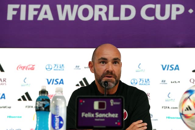 Qatar manager Felix Sanchez faced questions on the controversy surrounding the World Cup (Nick Potts/PA)