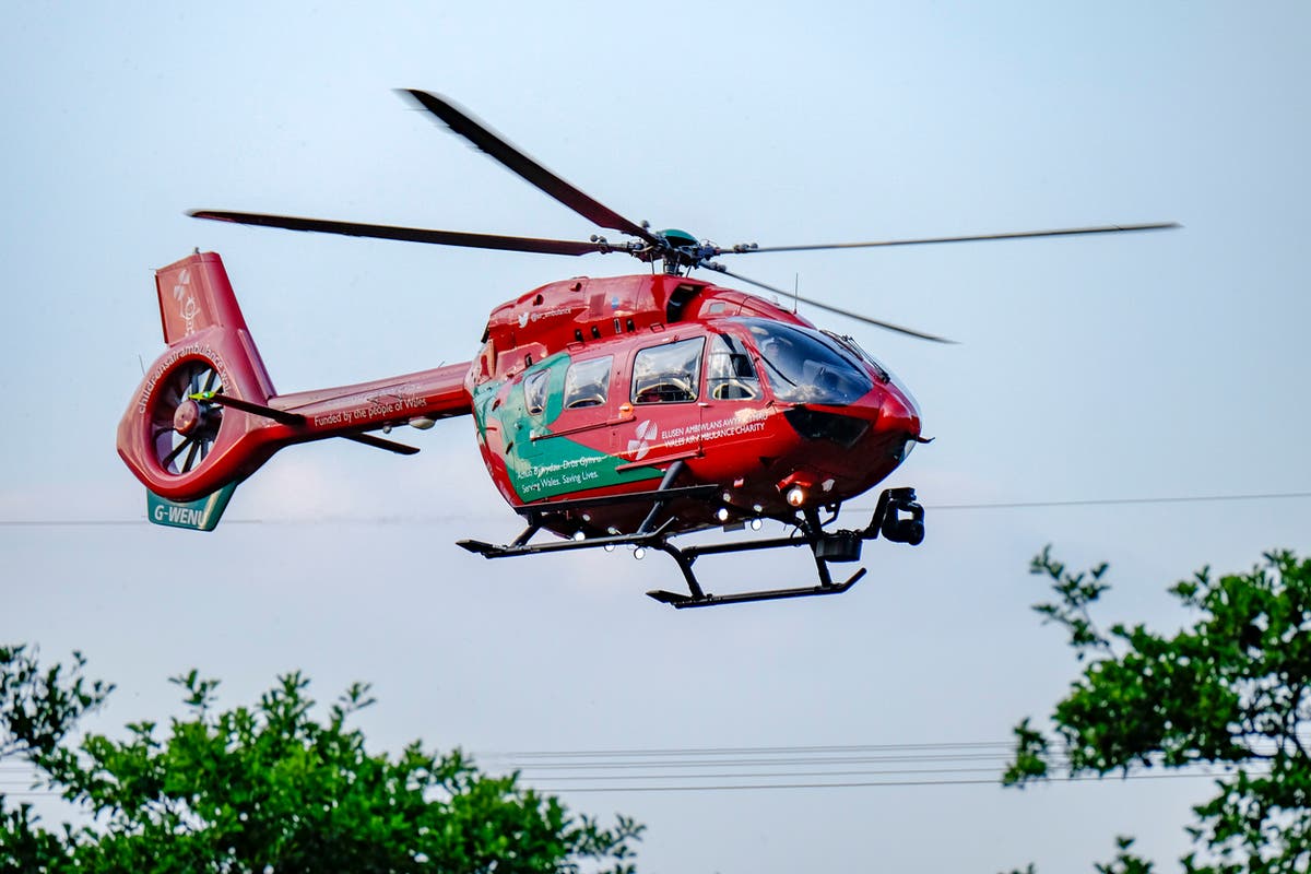 Elderly man seriously hurt after being attacked and trampled by escaped cow