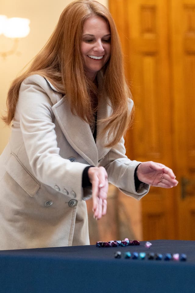 Elections Georgia Audit