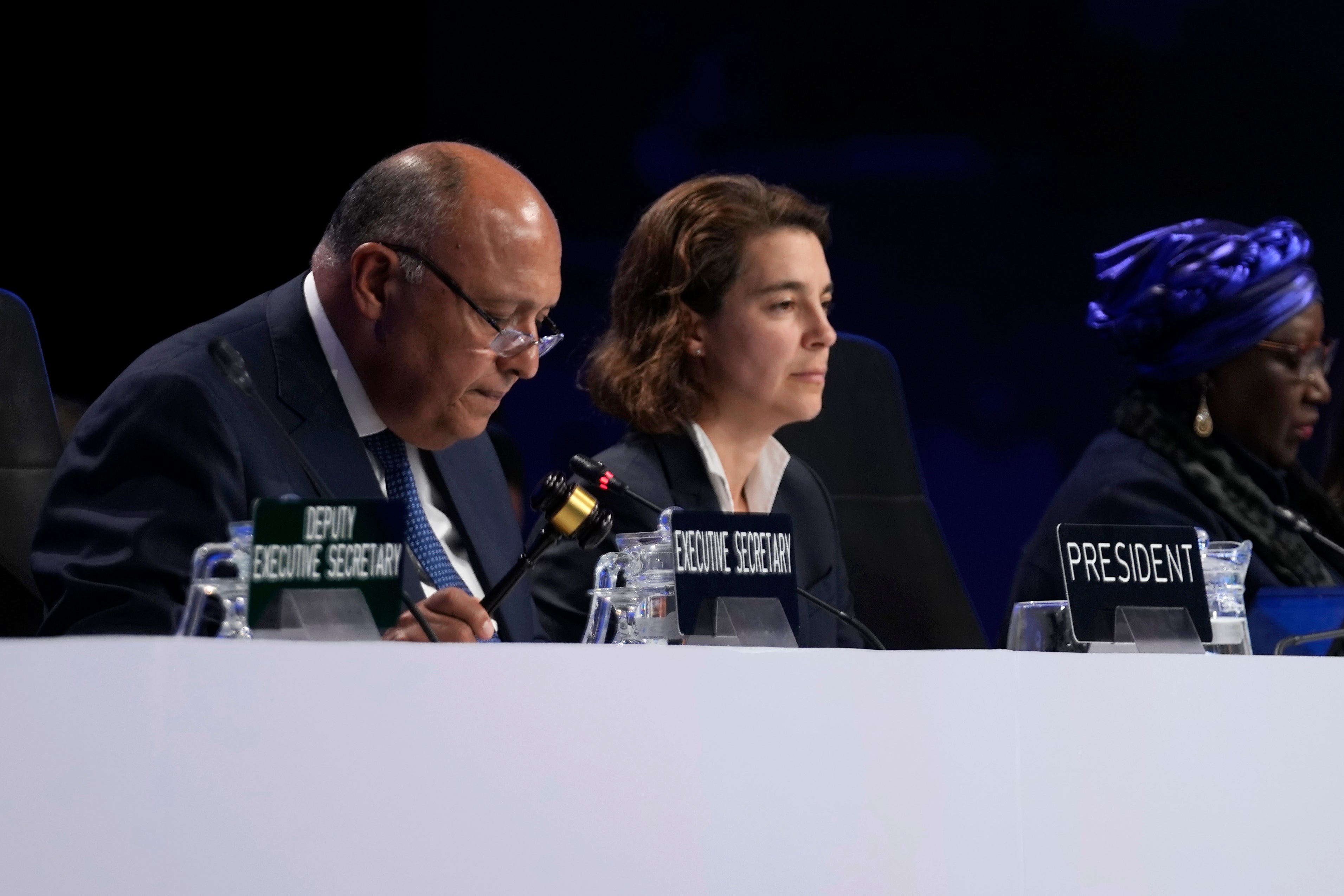 COP27 Climate Summit