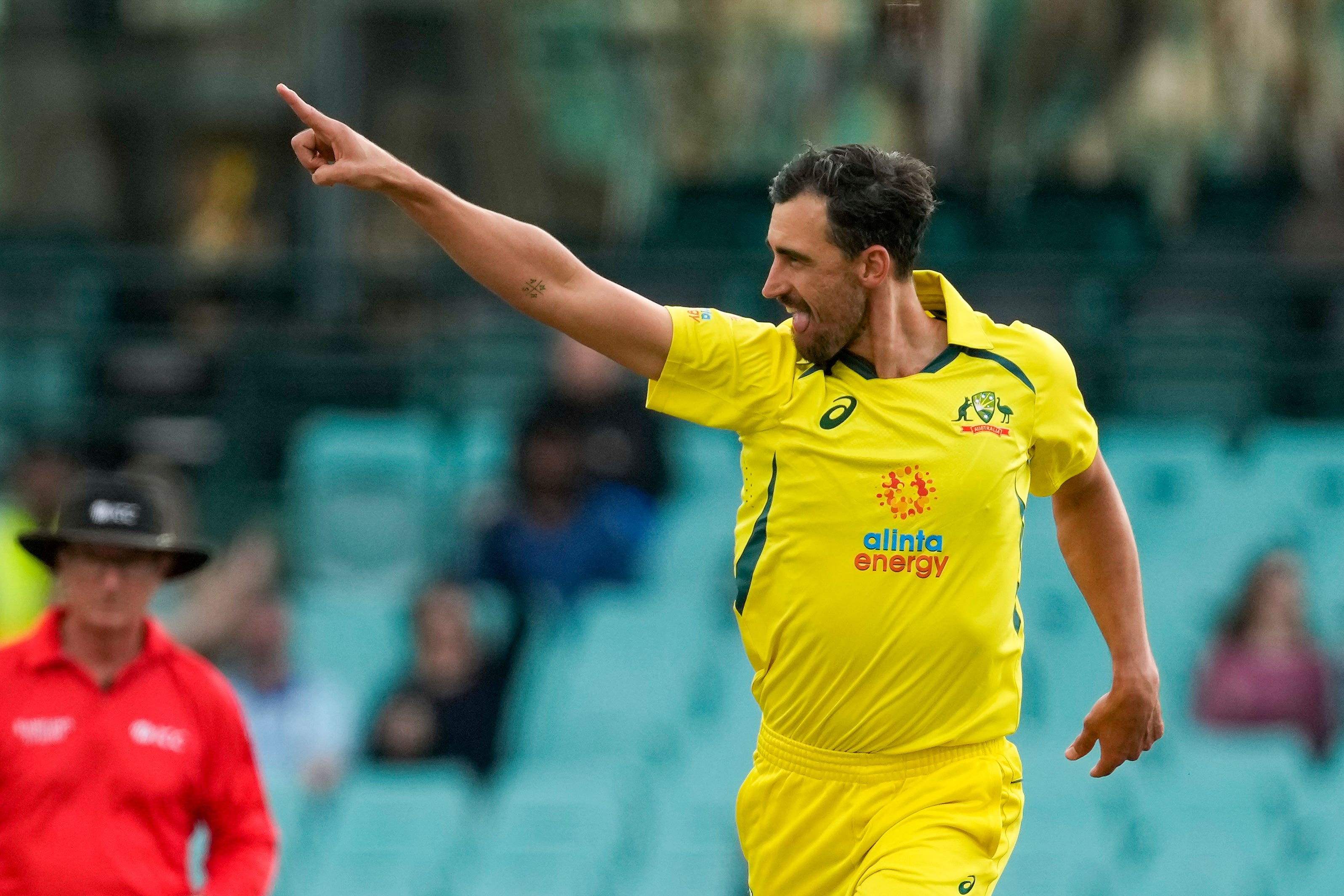 Mitchell Starc was in outstanding form for Australia on Saturday (Mark Baker/AP)