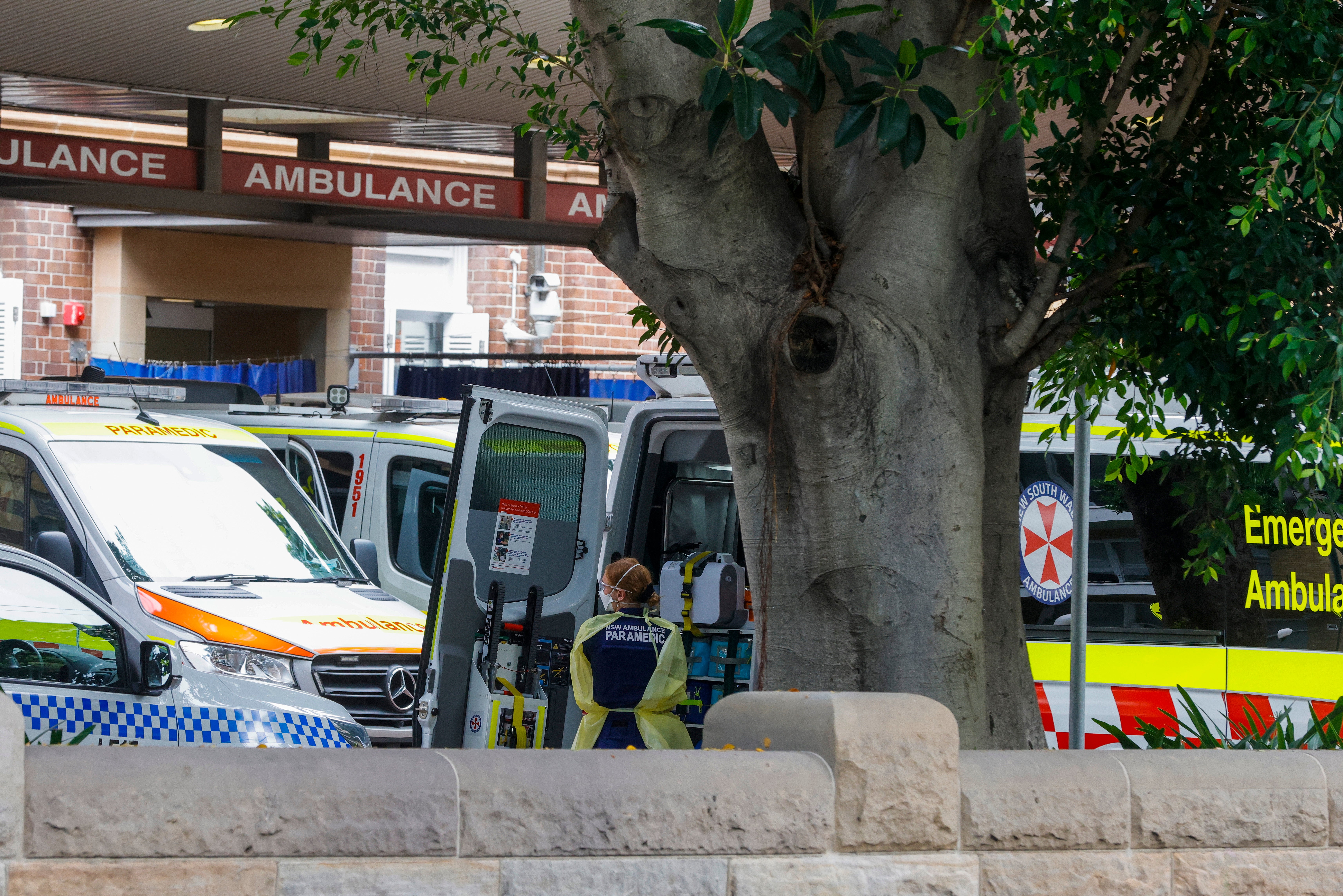 Representative: A paramedic unloads a patient from an ambulance on 10 January 2022 in Sydney, Australia