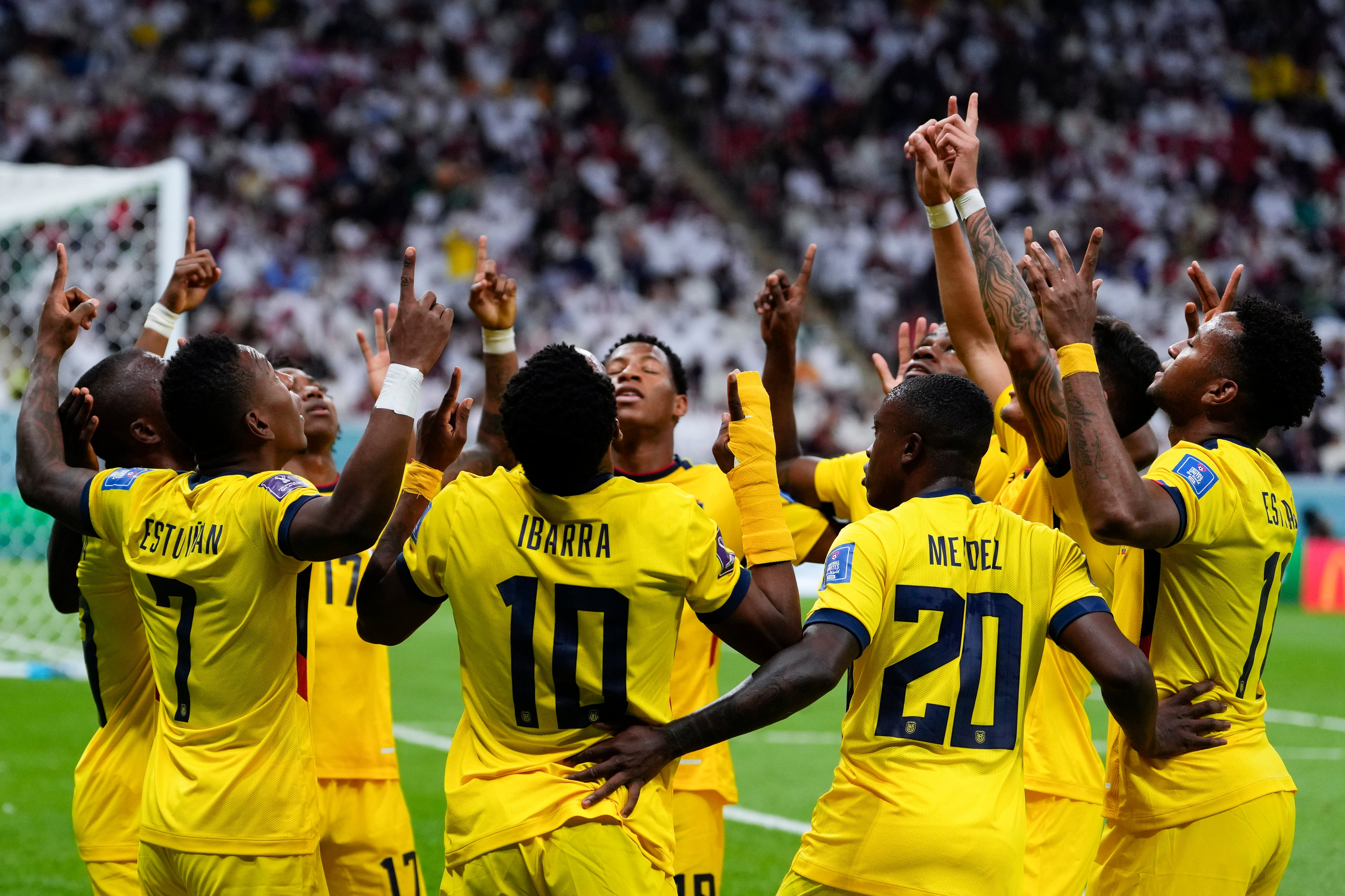 Netherlands Vs Ecuador Live Stream: How To Watch World Cup Fixture ...