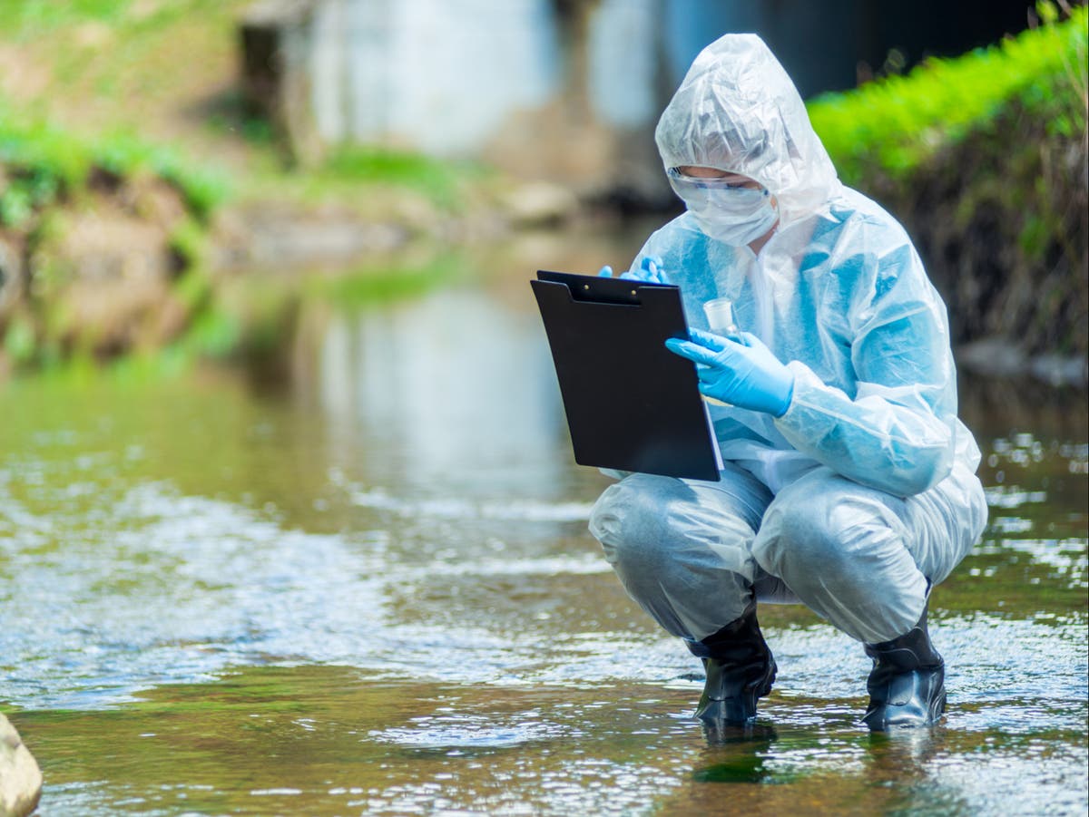 uk-rivers-are-a-superbug-polluted-health-threat-study-finds