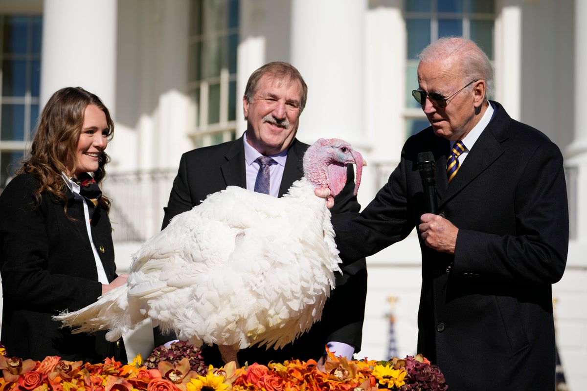Biden mocks Republican midterms slump at turkey pardon: ‘The only red wave is if Commander knocks over the cranberry sauce’