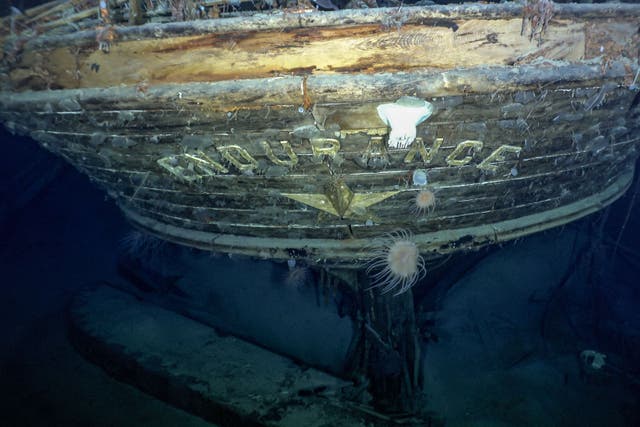The stern of the wreck of Endurance (Falklands Maritime Heritage Trust/National Georgraphic/PA)