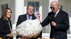 Joe Biden pardons Chocolate the Thanksgiving turkey