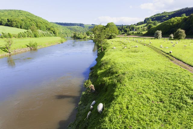 <p>Police investigating whether man who died was involved in altercation before fall into River Wye </p>