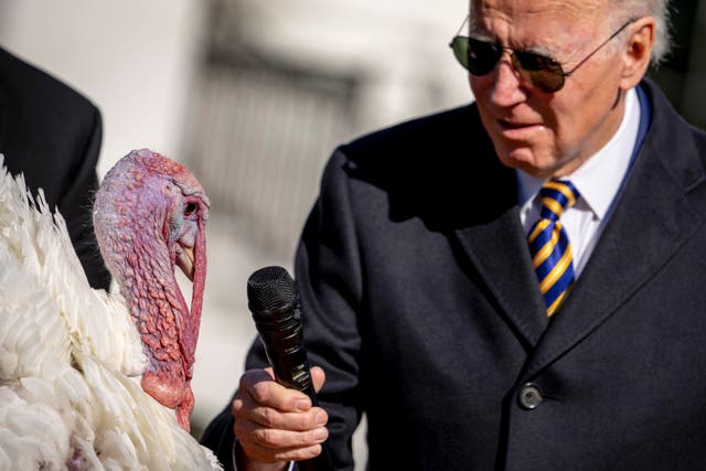<p>Joe Biden pardoned two turkeys this week </p>