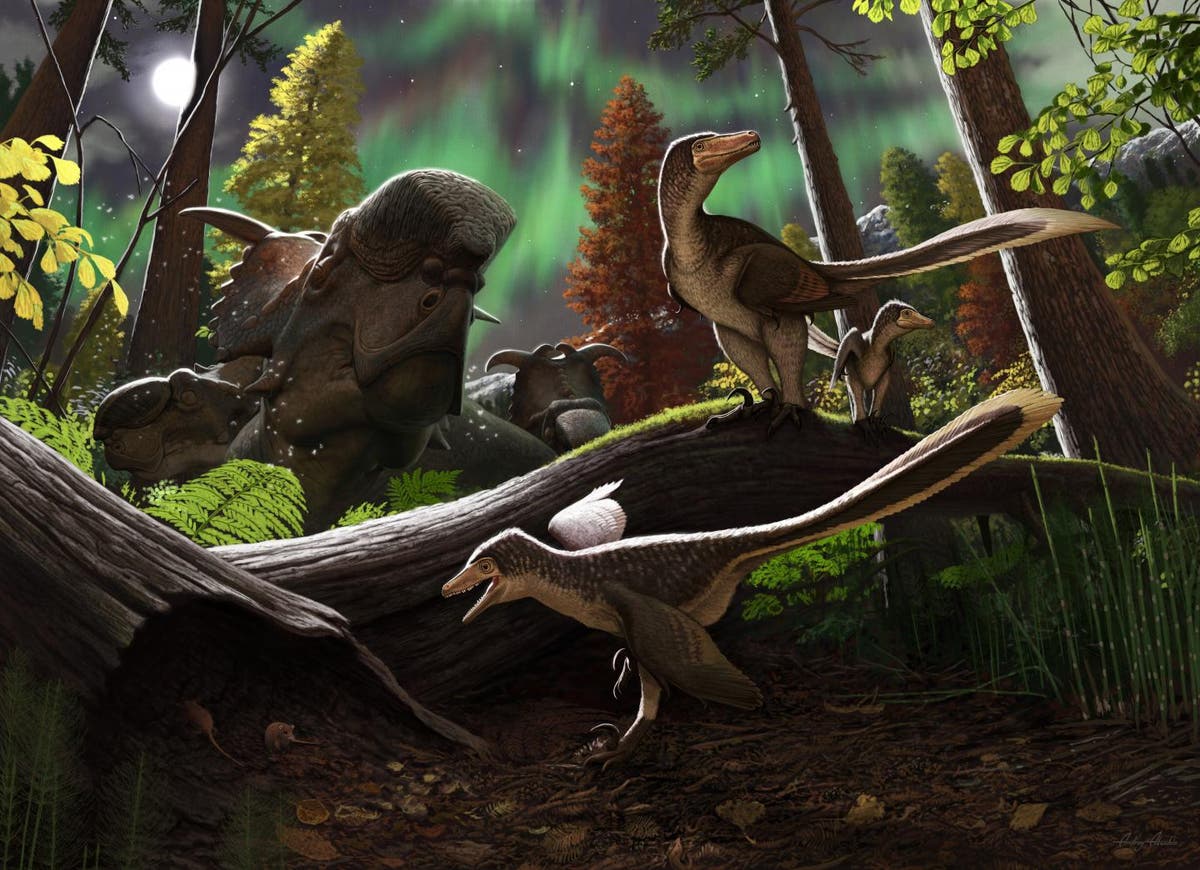 New bird-like dinosaur fossil discovered in China with frog remains in its stomach