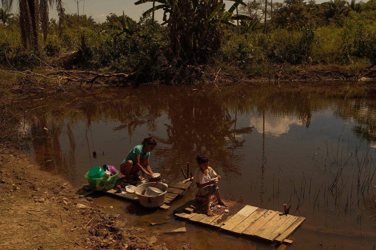 A desperate wait for water in a drying Amazon | The Independent