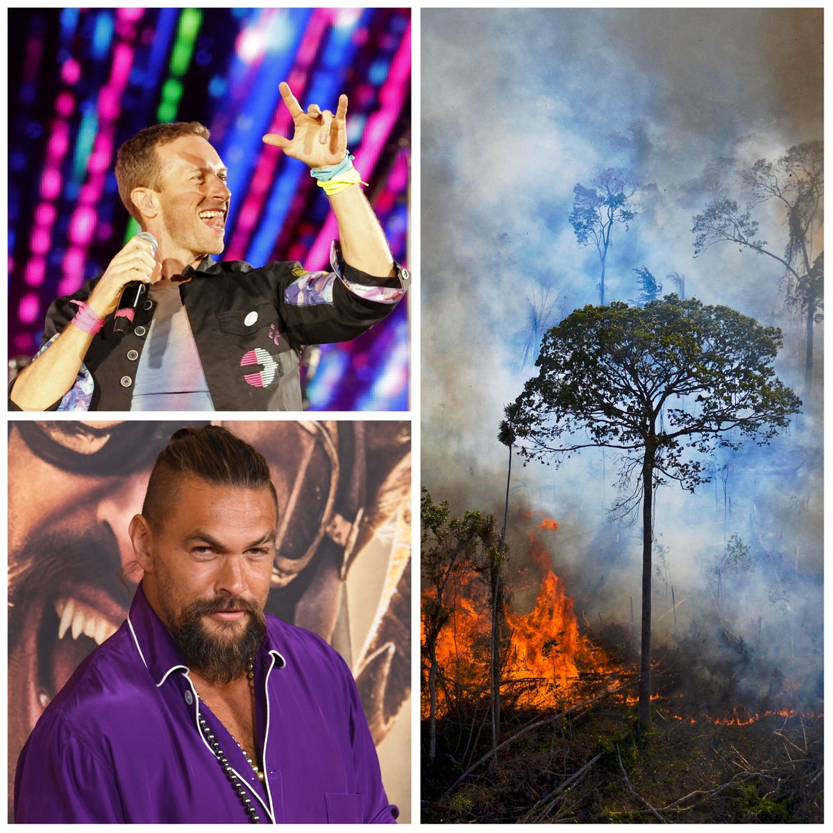 Coldplay, Sting, and Jason Momoa call on EU leaders to tackle deforestation