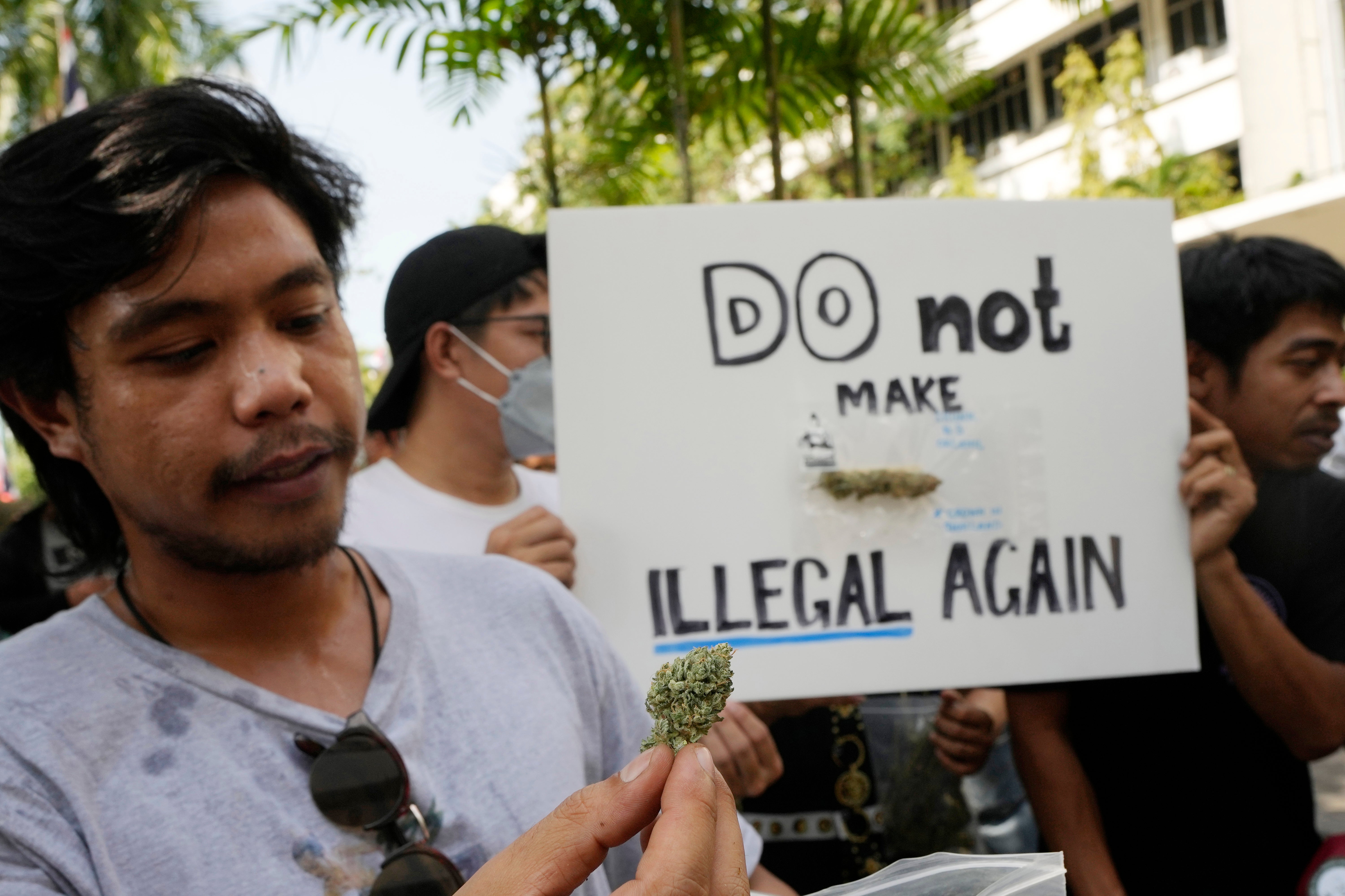 Thai Marijuana Boosters Rally To Keep Drug Decriminalized | The Independent