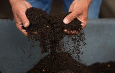 Compostable bags can’t be composted, minister admits