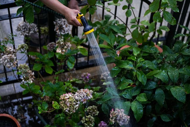 Thames Water is lifting the hosepipe ban it imposed in the summer (Yui Mok/PA)
