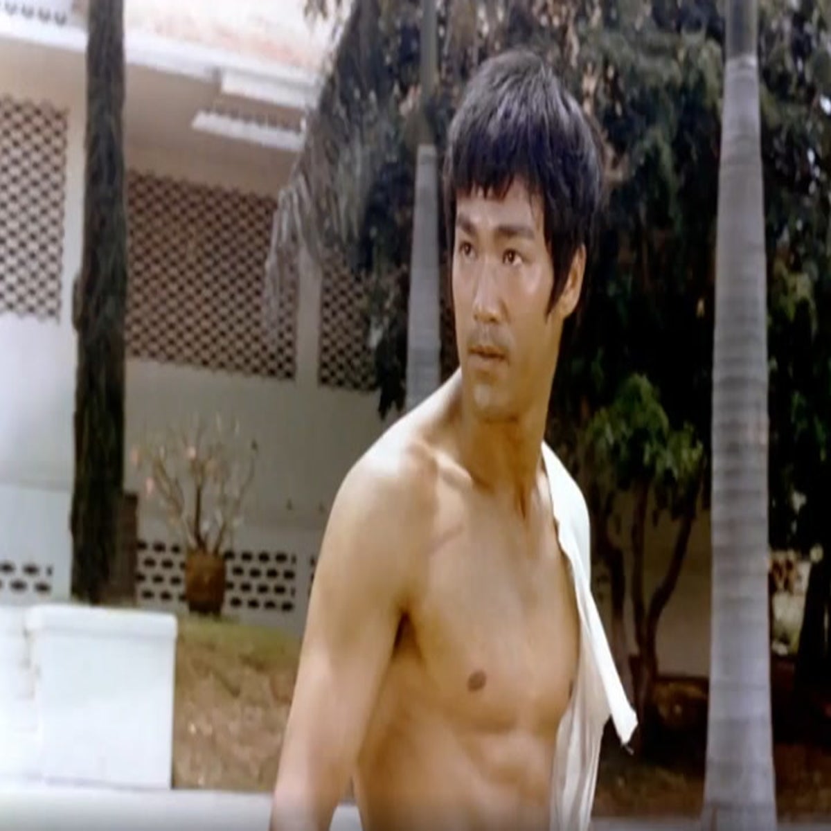 Bruce Lee likely died from 'drinking too much water', researchers say |  Culture | Independent TV