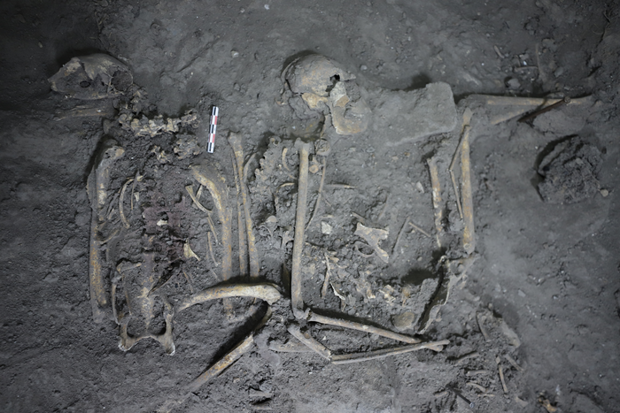 <p>Complete skeletal remains of a 1,700 year-old female spider monkey found in Teotihuacán, Mexico</p>