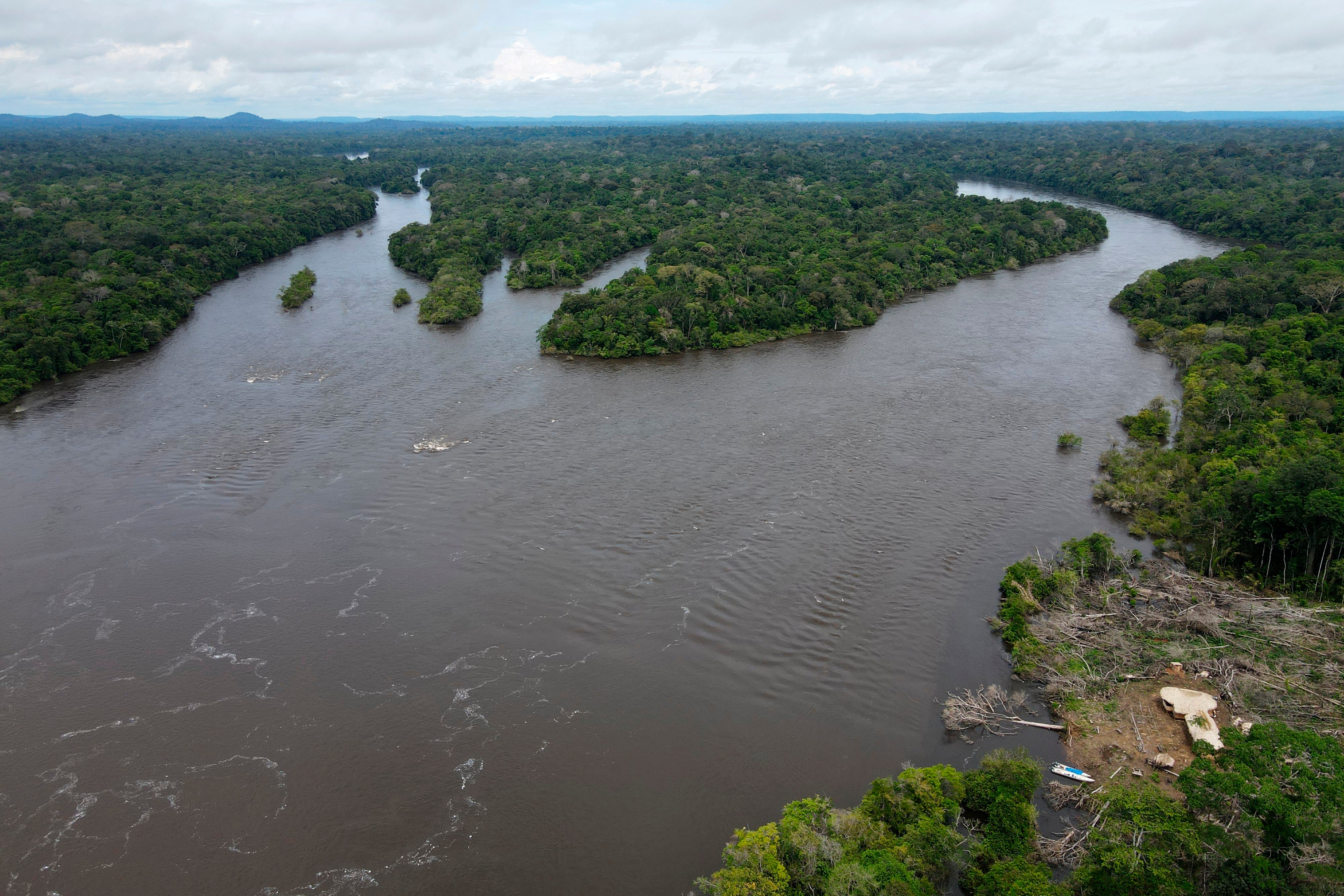 Brazil Illegal Fishing Tours