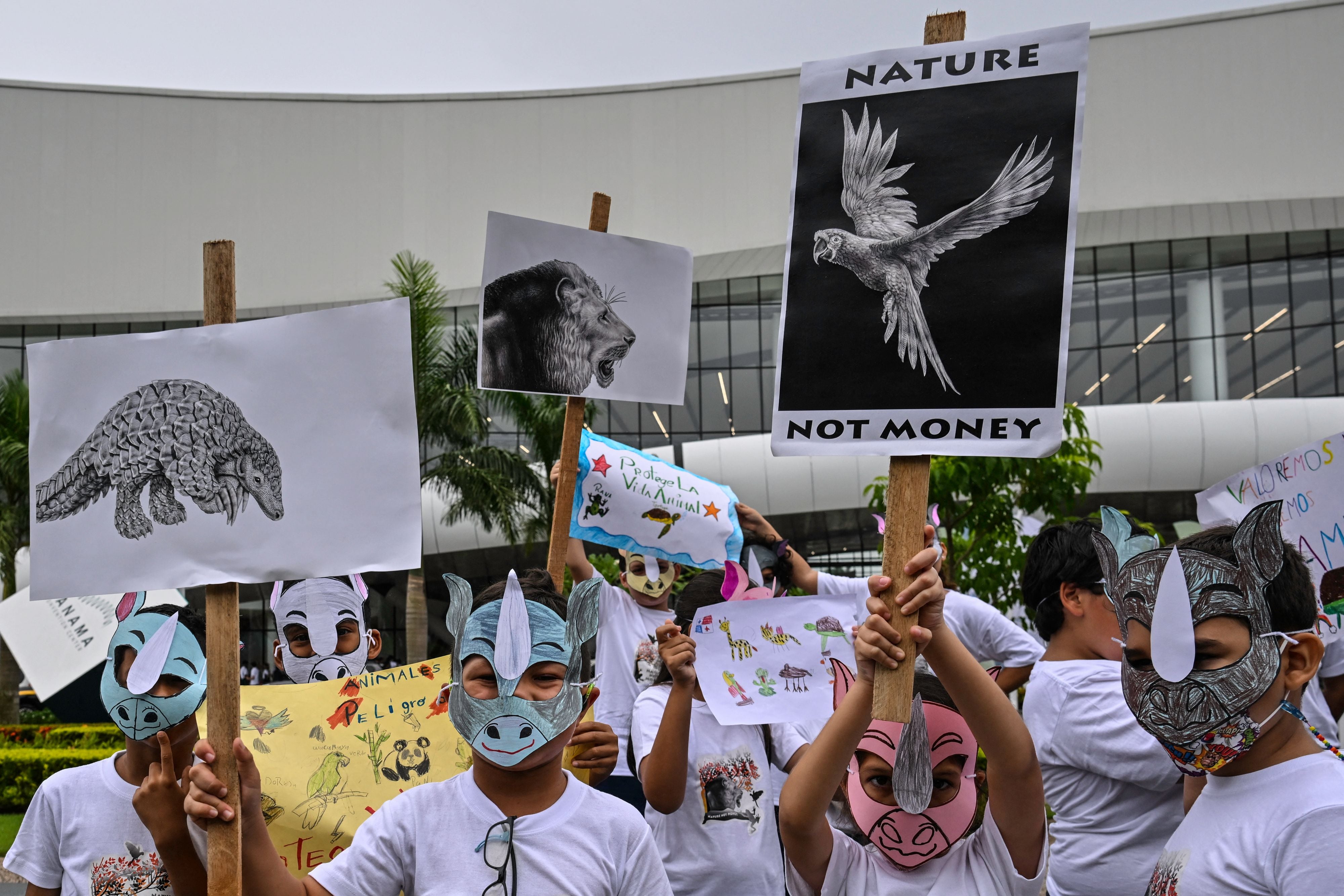 Protesters at the opening day of the World Wildlife Conference point out thet any legal market for endangered species provides a laundering mechanism for illegal products, stimulates demand and gives rise to illegal trade and trafficking