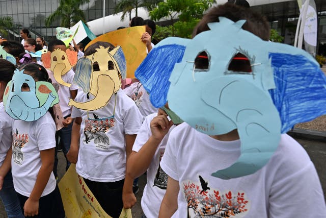 <p>Students wearing animal masks protest during the opening day of the World Wildlife Conference, Cites Cop19, in Panama City</p>