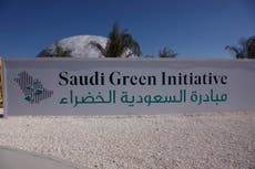 Do the actions match the ambition? The Saudi Green Initiative, one year on