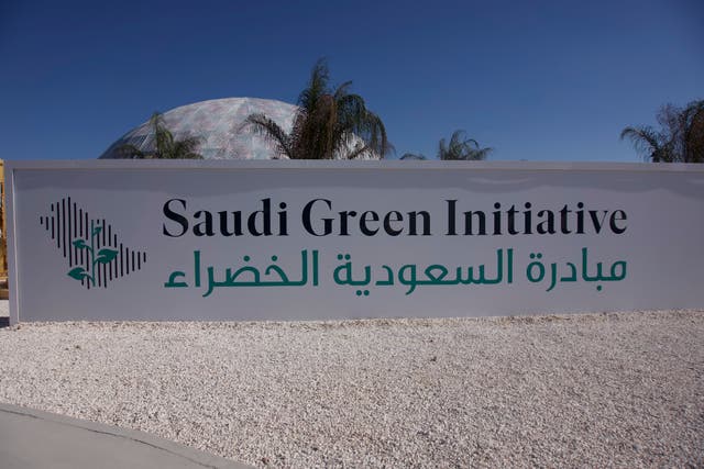 <p>The other green zone: site of the Saudi event at COP27</p>