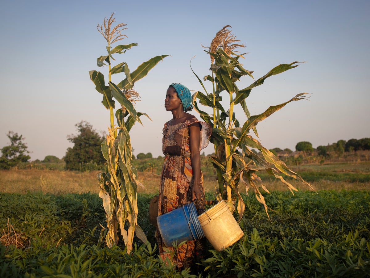 Mozambique struggles to rebuild after dual shock of climate change and insurgent violence